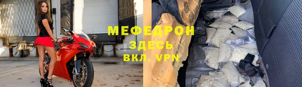 индика Медвежьегорск