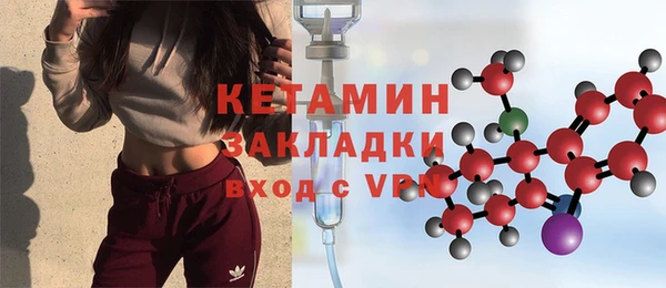 индика Медвежьегорск