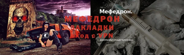 индика Медвежьегорск