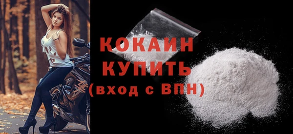 дживик Сатка