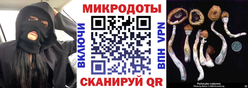 Галлюциногенные грибы GOLDEN TEACHER  цены   omg вход  Нерехта 